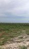 Listing Photo 147753