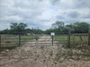 Listing Photo 147931